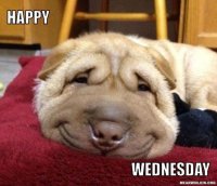resized_happy-wednesday-635f71.0.jpg