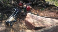 20170419_090827.jpg 20170419_090827.jpg