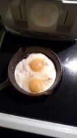 IMG_20170423_052715807.jpg