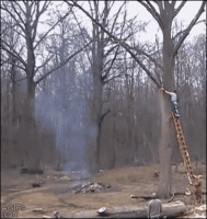 IMG_4178.GIF