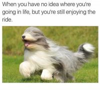 85333320.jpg