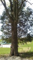 20170426_145105.jpg