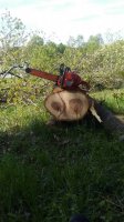 20170426_171425.jpg