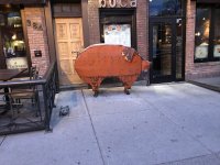 IMG_9298.JPG