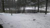 IMG_20170427_115528143.jpg