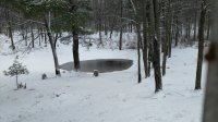 IMG_20170427_143006790.jpg