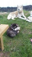 20170428_193741.jpg