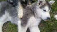 20170428_194319.jpg
