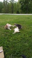 20170429_103612.jpg
