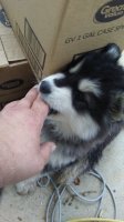 20170429_101806.jpg