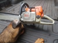 20170429_090349.jpg