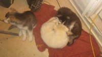 20170502_031836.jpg
