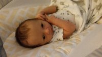2017042595095140.jpg