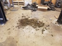 20170503_101751.jpg