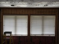 IMG_4687.JPG