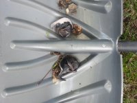 20170504_132611.jpg