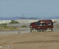 IMG_4235.GIF
