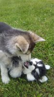 20170504_145234.jpg