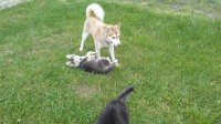 20170504_145309.jpg