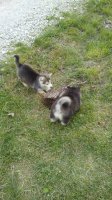 20170505_190702.jpg