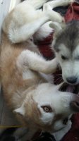 20170505_134820.jpg
