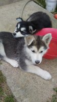 20170504_144841.jpg