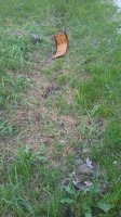 20170505_190738.jpg