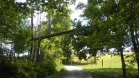 20170507_153137.jpg