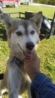 20170508_172644.jpg