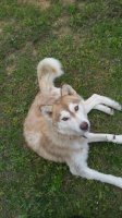20170504_132938.jpg