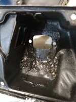 IMG_20170509_053604757.jpg