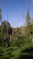 20170508_093424.jpg