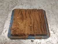 20170516_145825.jpg