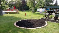 IMG_20170521_093701169.jpg