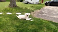 IMG_20170521_095948953.jpg