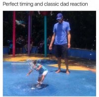 85363917.jpg
