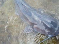 20170603_125626.jpg