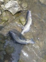 20170603_130633.jpg