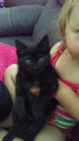 20170611_170342.jpg