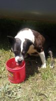 20170612_131600.jpg