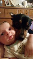 20170613_185257.jpg