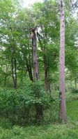 IMG_20170613_200603118.jpg