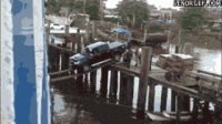 IMG_4434.GIF