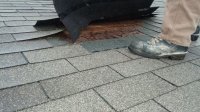 20170617_063203.jpg