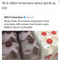 85385024.jpg