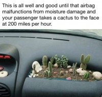 85376653.jpg