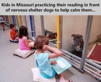 they-are-reading-lovely-stories-about-a-farm-upstate.jpg