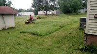 IMG_20170629_100615536.jpg