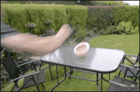 IMG_4571.GIF