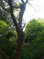 20170702_070111.jpg